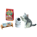 Re-Ment: Life with Cats Blind Box