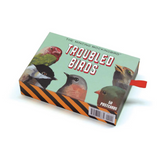 Troubled Birds Postcards - Box Set of 50