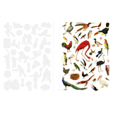 Even More Extraordinary Things to Cut Out and Collage