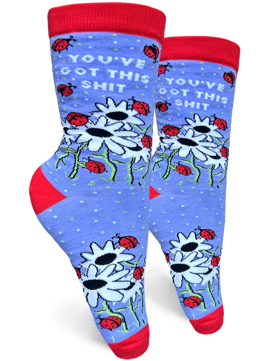 Groovy Things Women's Sock You've Got This