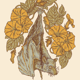 Flying Fox + Morning Glories 8x10" Giclee Art Print