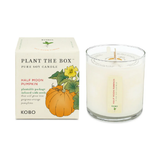 KOBO Candle - Half Moon Pumpkin