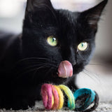 Spring Eco Toy - Rainbow
