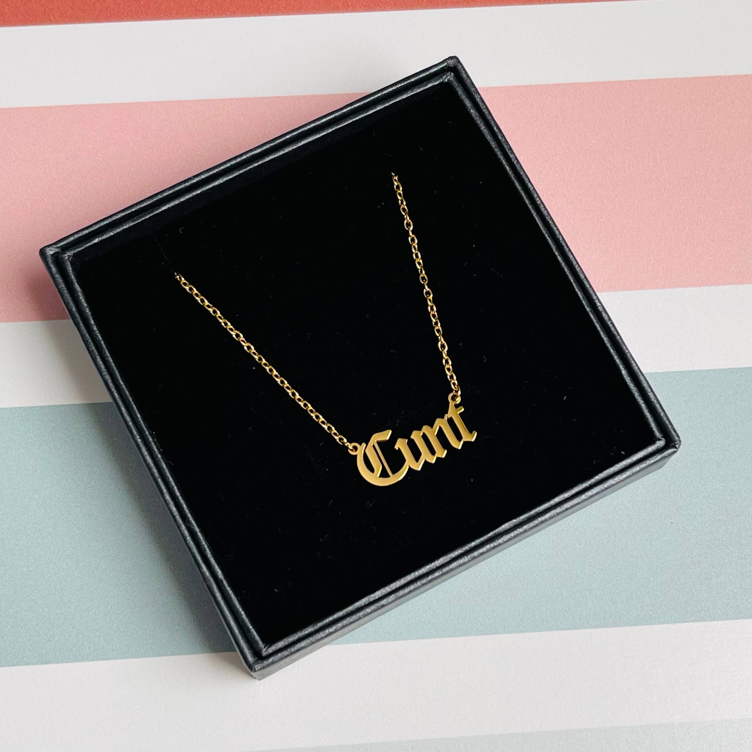 Silver Spider Necklace Gold Cunt
