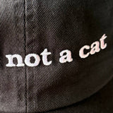 I Am Not a Cat Baseball Cap
