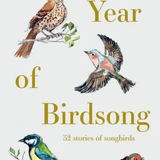 A Year of Birdsong