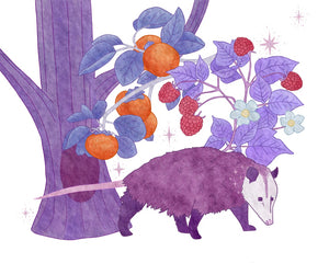 Purple Opossum Print