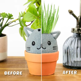Grow Pals Grow Kit - Cat