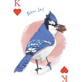 The Field Guide to Dumb Birds Playing Cards: 2-Deck Set