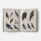Sibley Birding Sticker Book