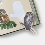 Sibley Birding Sticker Book