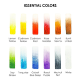 Watercolor Pocket Set of 12 Colors -  Essential