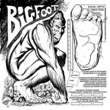 The Cryptid Creatures Coloring Book