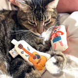 Go Kitty Go Cat Toy Set - Country Music