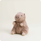 Warmies Junior -  Capybara