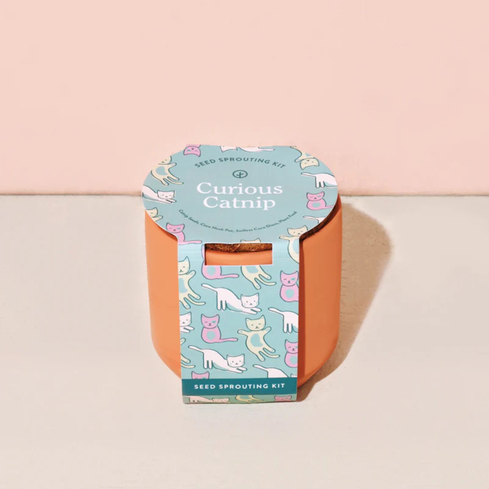 Tiny Terracotta - Curious Catnip