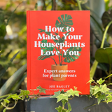How to Make Your Houseplants Love You: Expert Answers for Plant Parents