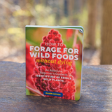 How to Forage for Wild Foods Without Dying