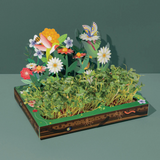 Microgreens - Pollinator