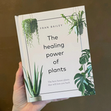 The Healing Power of Plants: The Hero Houseplants That Will Love You Back
