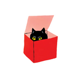Cat in a Box Tattoo Pairs