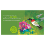 Birding for Babies: Migrating Birds: A Colors Book
