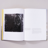 This Morning, This Evening, So Soon: James Baldwin and the Voices of Queer Resistance