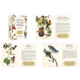 The Spiritual Meaning of Birds Oracle Deck: Discover the Wisdom & Insight of These Divine Winged Messengers