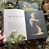 Ornithography: An Illustrated Guide to Bird Lore & Symbolism