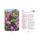 The Flower Garden Deck: 50 Flower Care Cards to Help You Plan, Plant, and Grow the Perfect Garden!