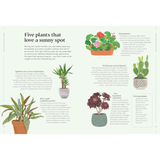 How to Make Your Houseplants Love You: Expert Answers for Plant Parents
