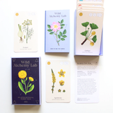 Wild Alchemy Lab: An Astro-botanical Remedy Deck