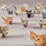 Pikkii Paper Origami Sets -