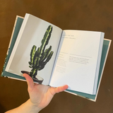 The Healing Power of Plants: The Hero Houseplants That Will Love You Back