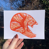 Shrimp Cat Linocut Print