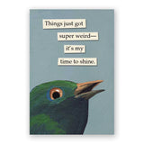 Mincing Mockingbird Magnet