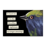 Mincing Mockingbird Magnet
