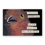 Mincing Mockingbird Magnet