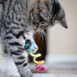 Spring Eco Toy - Assorted Colors