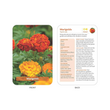 The Flower Garden Deck: 50 Flower Care Cards to Help You Plan, Plant, and Grow the Perfect Garden!