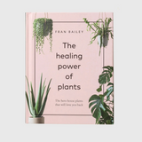 The Healing Power of Plants: The Hero Houseplants That Will Love You Back