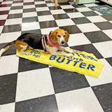 A Shop of Things Butter Rug