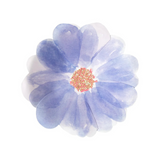 Meri Meri Flower Garden Small Plates