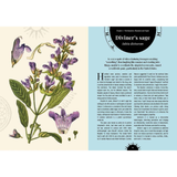 The Psychedelic Garden: Mind-altering Plants in Folklore, Superstition and Popular Culture