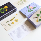 Wild Alchemy Lab: An Astro-botanical Remedy Deck