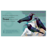 'Birding For Babies' Backyard Birds Book - A Numbers Book
