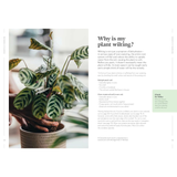 How to Make Your Houseplants Love You: Expert Answers for Plant Parents