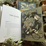 Ornithography: An Illustrated Guide to Bird Lore & Symbolism