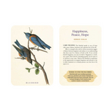 The Spiritual Meaning of Birds Oracle Deck: Discover the Wisdom & Insight of These Divine Winged Messengers