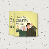 Princess Bride Have Fun Storming The Castle Magnet